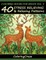 Coloring Books For Adults Volume 2