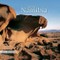 Secret Namibia