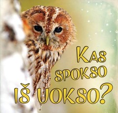 Kas spokso iš uokso?