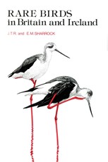 Rare Birds in Britain and Ireland