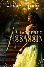 Shattered Assassin