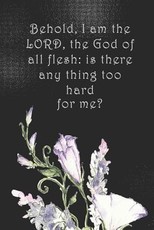 Behold, I am the LORD, the God of all flesh