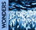 Wonders