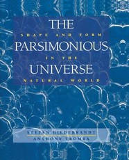 The Parsimonious Universe