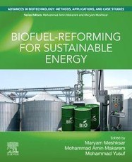 Biofuel-Reforming for Sustainable Energy