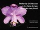 The family Orchidaceae in the Serra do Japi, Sao Paulo state, Brazil
