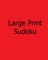Large Print Sudoku