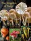 Kingdom of Fungi
