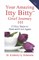 Your Amazing Itty Bitty(TM) Grief Journey 101