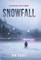 Snowfall