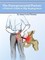 Entrepreneurial Patient: A Patient's Guide to Hip Impingement