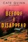 Before I Disappear