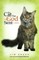 The Cat That God Sent