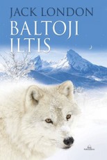 Baltoji iltis