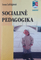 Socialinė pedagogika