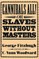 Cannibals All! Or, Slaves Without Masters