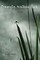 Dragonfly, Walking Stick