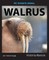My Favorite Animal