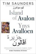 Island of Avalon / Ynys Avalloen