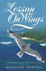 A Lesson on Wings