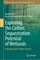 Exploring the Carbon Sequestration Potential of Wetlands
