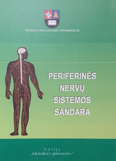 Periferinės nervų sistemos sandara
