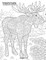 Mammals Coloring Book for Grown-Ups 2