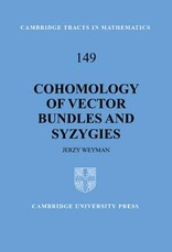 Cohomology of Vector Bundles and Syzygies