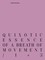 quixotic essence of a breath of movement / 1×3
