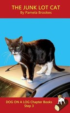 The Junk Lot Cat Chapter Book