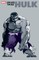 Jeph Loeb & Tim Sale: Hulk