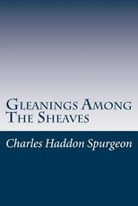 Gleanings Among The Sheaves