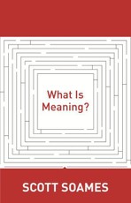 What Is Meaning?