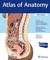 Gilroy, A: Atlas of Anatomy