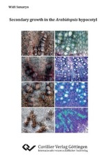 Secondary growth in the Arabidopsis hypocotyl