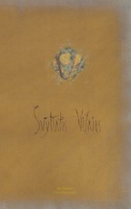 Švytintis Vilnius (Świetliste Wilno, Radiant Vilnius, Vilnius lumineux)