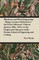 Woodcuts and Wood Engravings - Being a Lecture Delivered to the Print Collectors' Club on January 20th, 1925, on the Origin and Character of the Present School of Engraving and Cutting