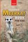 Meerkats