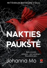 NAKTIES PAUKŠTĖ: Nr. 1 bestseleris – genialus naujas švedų detektyvo šedevras