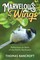 Marvelous Wings