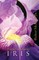 Evolution of the Genus Iris