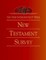 The New Interpreter's(r) Bible New Testament Survey
