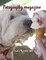 Petography Magazine