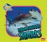 Hammerhead Sharks