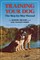 Training Your Dog