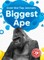 Biggest Ape