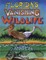 Florida's Vanishing Wildlife