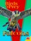 Falcons