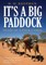 It's a Big Paddock