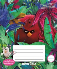 MOKYTOJAI REKOMENDUOJA: ypač kokybiško, nepergeriančio rašalo popieriaus 2–12 klasės sąsiuvinis linijomis. Angry Birds (12 l.)
